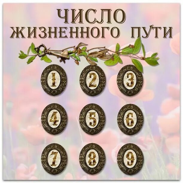 Число жизненного пути 7. Число жизненного пути. число жизненного пути ( чжп ). нумерология чжп. число жизненного пути 9 женщина.