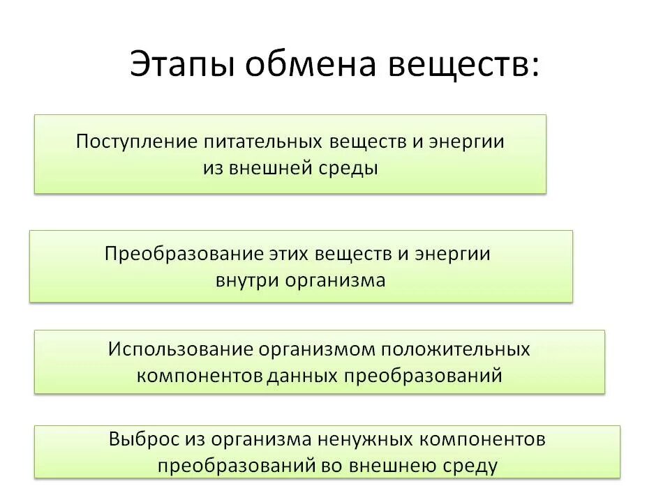 Основные процессы организма человека. Основные процессы организма человека. Основные этапы обмена веществ в организме человека. Физиологические процессы в биологии. Физиология термин.