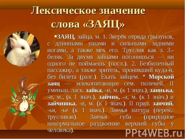Словарное слово заяц в картинках. Заяц лексическое значение. Синонимы к слову заяц 3 класс. Заяц лексическое значение. Заяц лексическое значение.