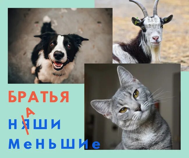 Бр тестирование. Бр тестирование