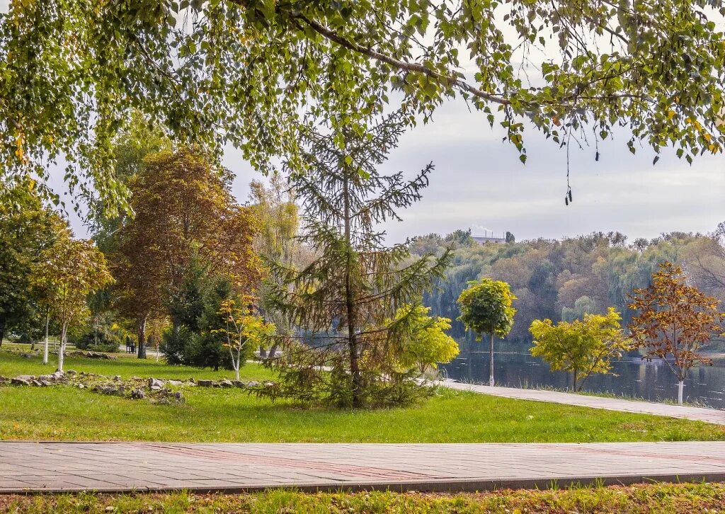 Строитель. Гостиница строитель белгородская область. Гостиница строитель белгородская область. Гостиница строитель воронеж алексеевского 15. Гостиница строитель воронеж ул алексеевского д 15.
