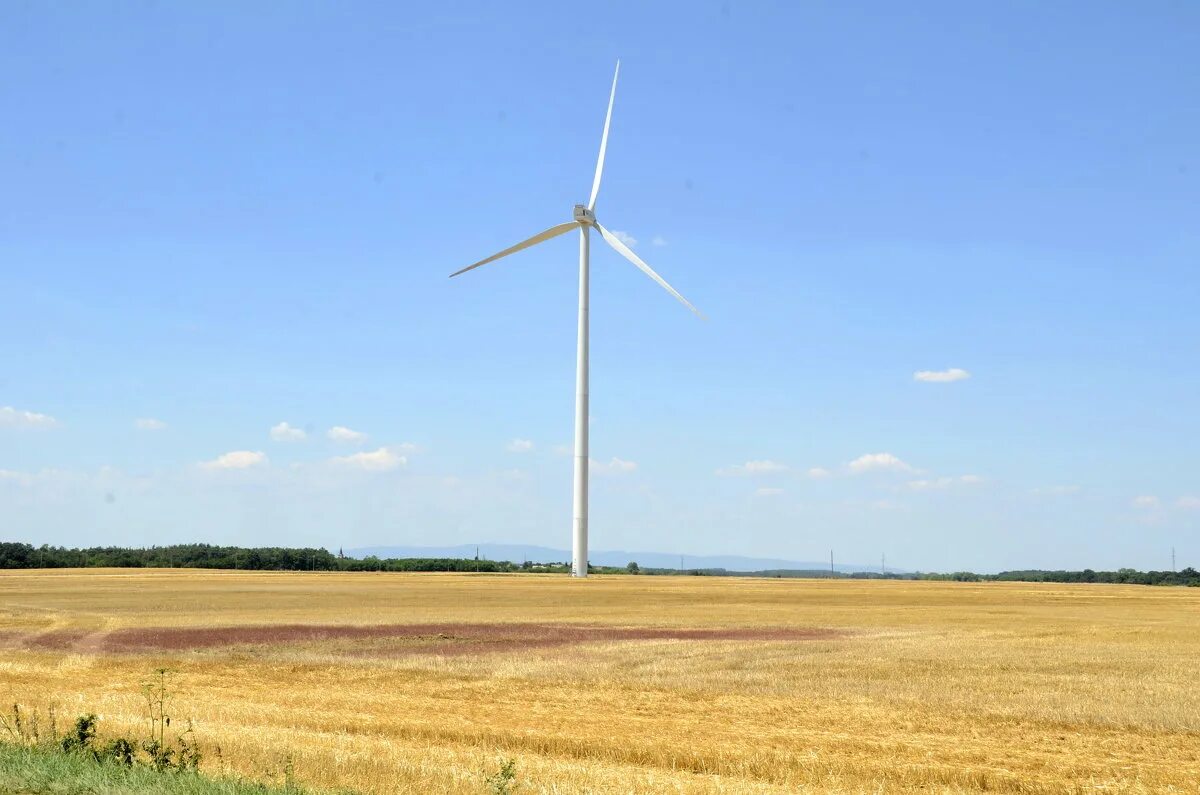 погода хутор ветряк воронеж. хутор ветряк воронеж. пейзаж с ветрогенераторами. жк задонье парк хутор ветряк. погода хутор ветряк воронеж.