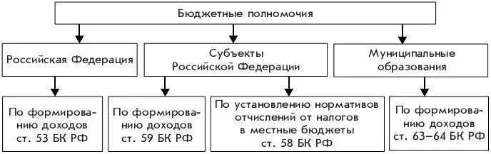 Полномочия субъектов доходов. Бюджетная компетенция субъектов РФ. Бюджетные полномочия субъектов РФ И муниципальных образований. Бюджетные полномочия РФ субъектов РФ И муниципальных образований. Бюджетная компетенция субъектов РФ схема.