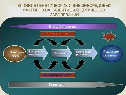 Влияние генетики