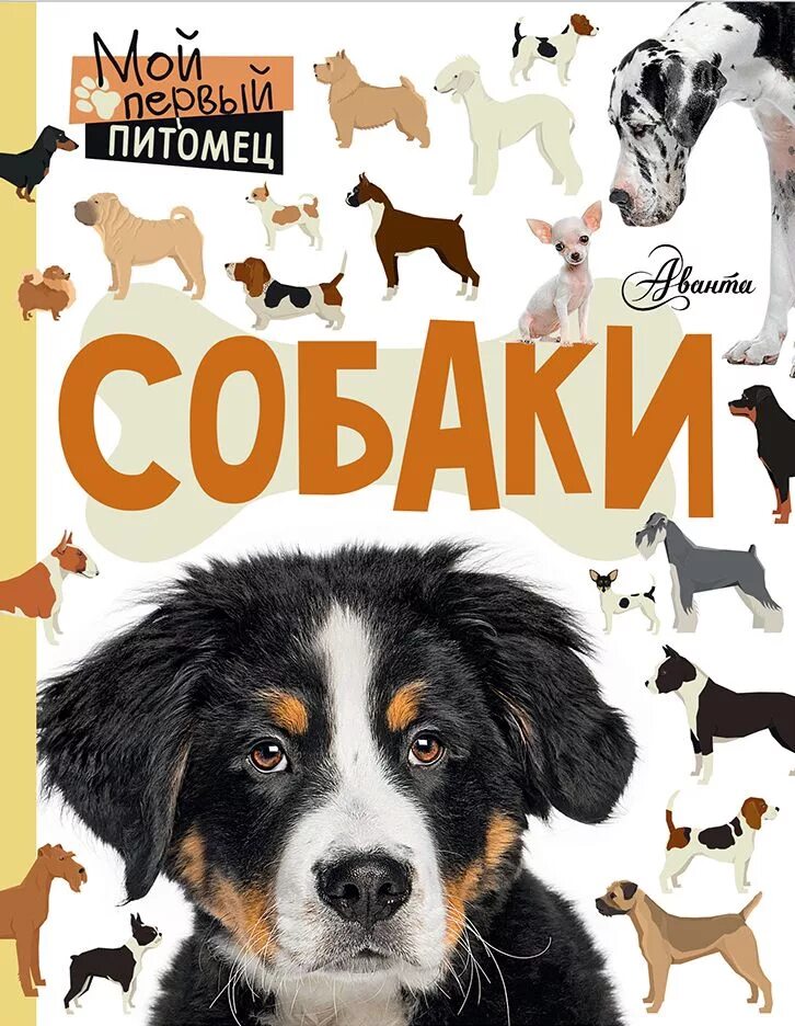 Произведения о собаках. Книги про собак. Собака с книжкой. Книги о собаках для детей. Детские книги про собак.