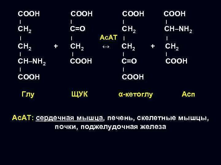 Ch ch ch cooh nh. Nh2ch2cooh. Nh2 - сн2 – соон. Nh2ch2ch2ch2cooh название аминокислоты. Сн3 СН соон nh2.