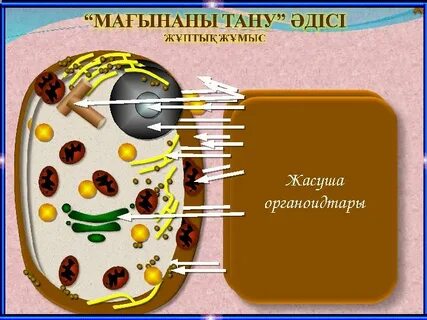 Миранда Керр порно секс фотосуреттері