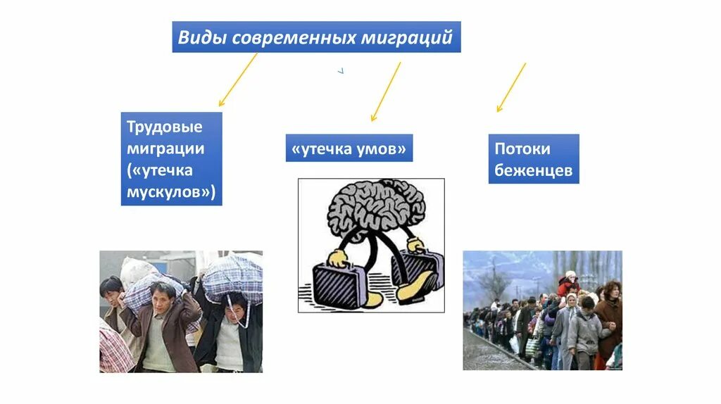 Проблемы миграции в современном мире