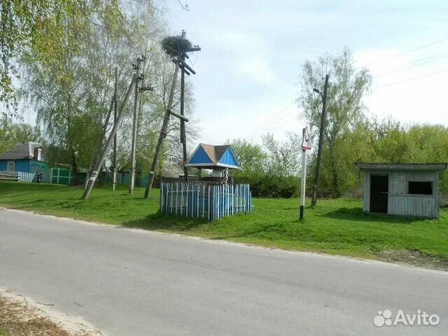 Деревня долботово брянская область. Погода долботово брянская обл. Погода долботово брянская обл. Погода долботово брянская обл. Деревня долботово брянская область.