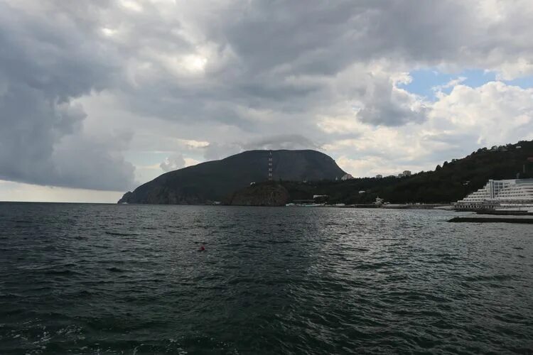 бурый медведь вики. есть ли в крыму медведи. есть ли в крыму медведи. медведь гора ильский. петропавловск-камчатский озеро курильское.