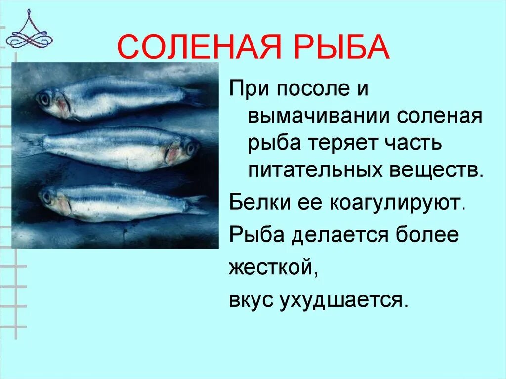 Группы соленой рыбы. Характеристика соленой рыбы. Соленая рыба виды рыб. Презентация по рыбам. Соленая рыба название.