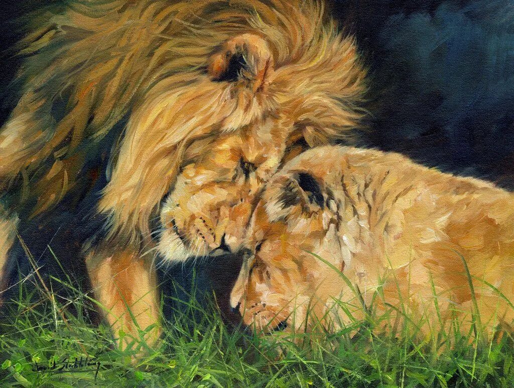 Loving lions