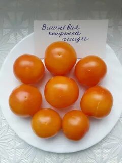 Перец дыня