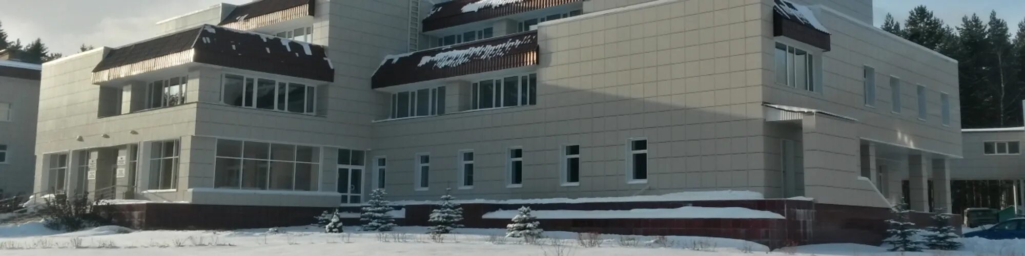 Институте химии уро ран. Имсс уро ран. институт механики сплошных сред. институт технической химии. имсс уро ран логотип.