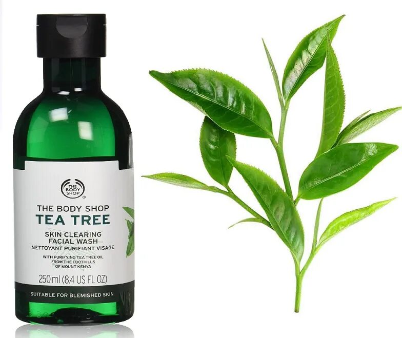 "Tea Tree foot Soak" Melao. Чайное дерево. Масло чайного дерева. Чайное дерево эфирное. Где купить чайное дерево