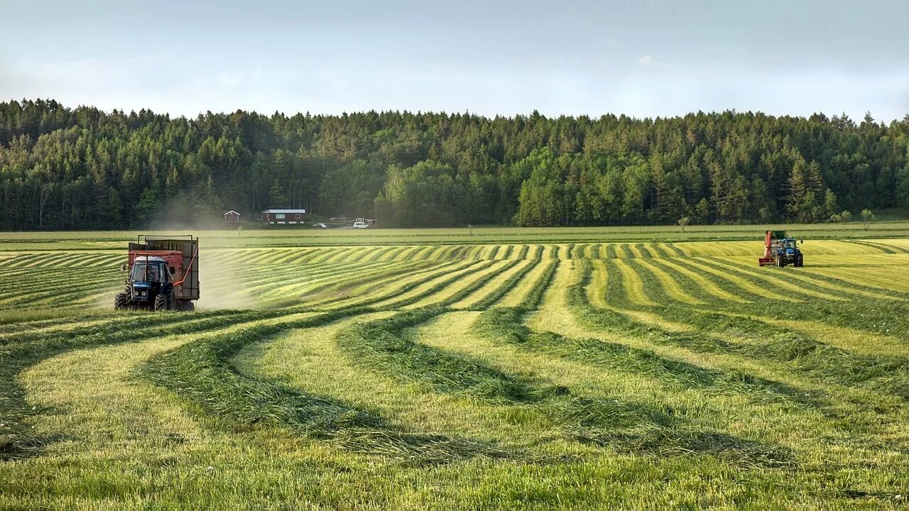Сх про. Сельское Швеции хозяйство Швеции. Сельскохозяйство в Норвегии. Отрасли специализации сельского хозяйства Швеции. Растениеводство Швеции.