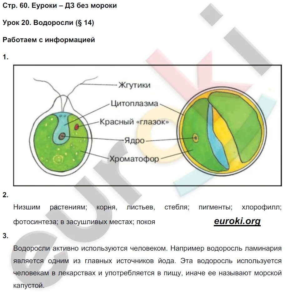 Лабораторная водоросли