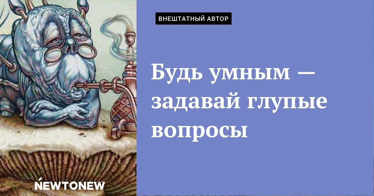 День глупых вопросов. Глупый вопрос незаданный. Глупых вопросов не бывает, есть незаданные. С днем тупых вопросов.