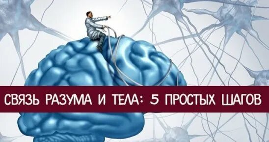Телепатия - чтение мыслей. Взаимосвязь разумов. Телепатия между людьми. Ментальная связь. Связь между людьми.