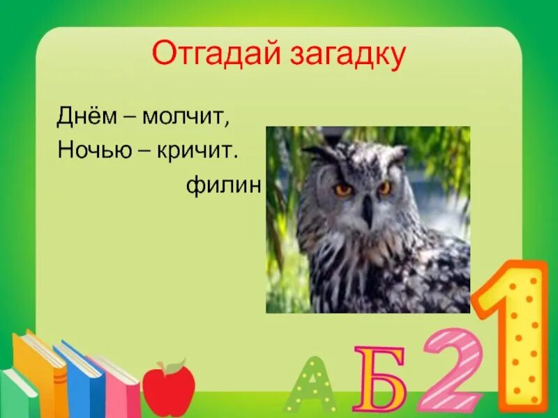 Отгадай загадку день и ночь. Загадка дня. Отгадай загадку днём молчит ночью кричит. Загадки на день рождения. День загадок и отгадок.