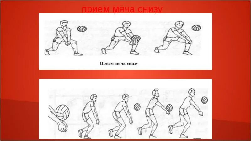 Техника выполнения приема мяча снизу. Прием мяча снизу. Прием мяча снизу в волейболе. Техника приема мяча снизу в волейболе. Виды подач в волейболе.