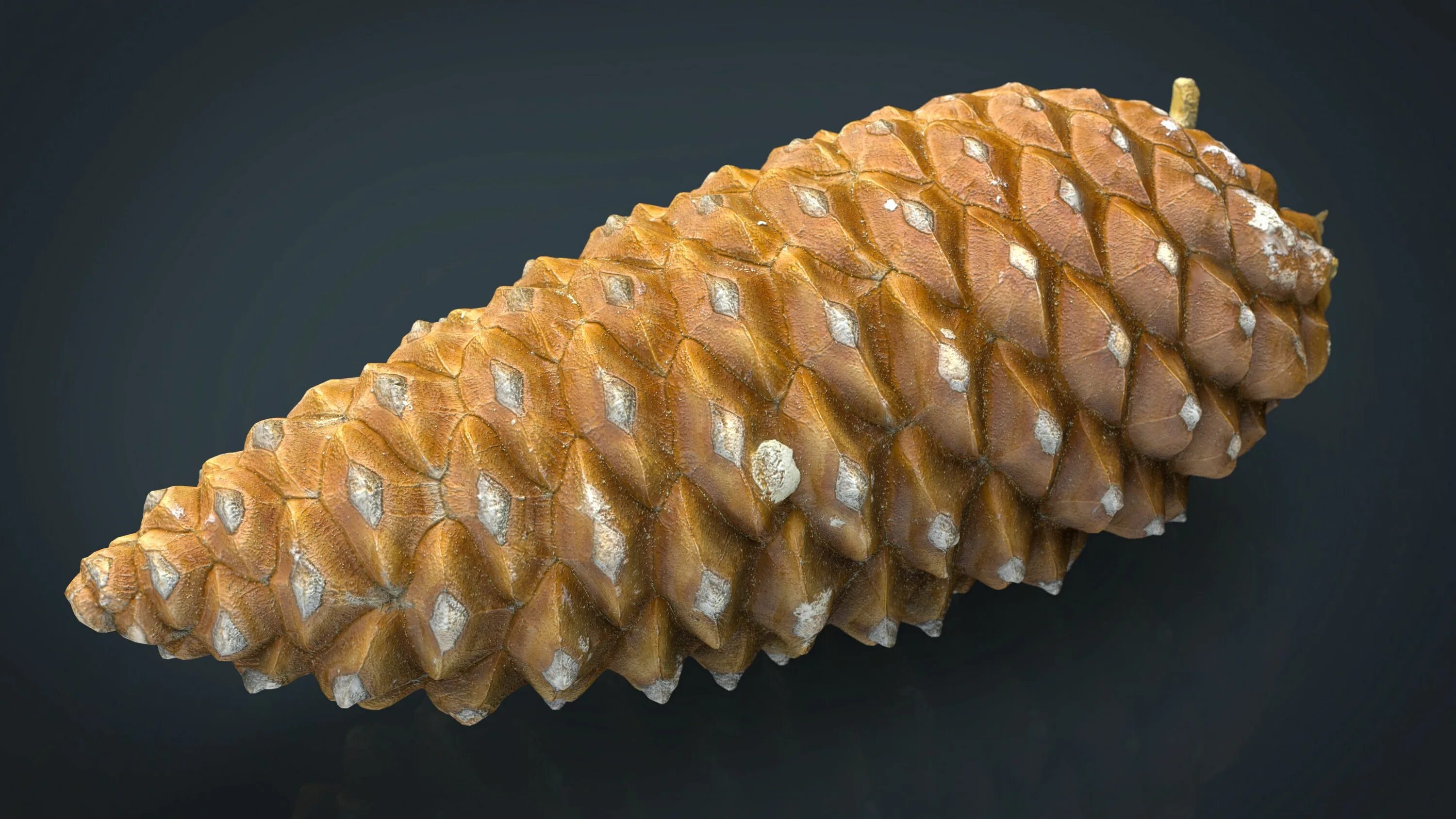 Pinecone 3d model. Шишка 3д модель. Шишка STL. Шишк