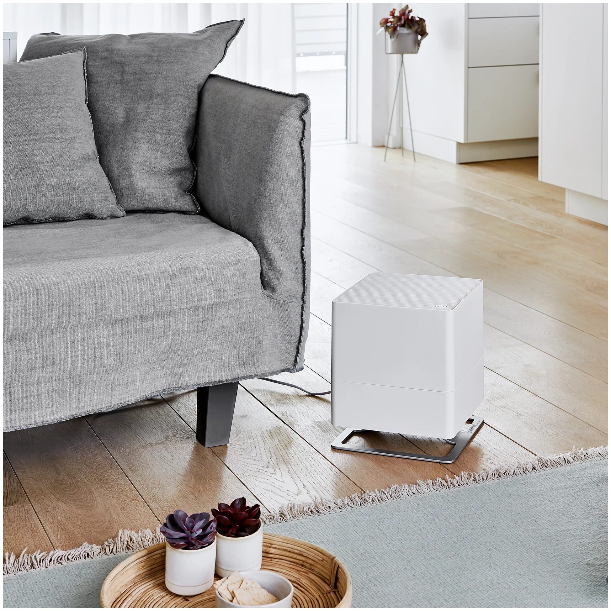 Stadler form oskar black. Увлажнитель воздуха stadler form oskar big o-041r. Увлажнитель stadler form oskar. Увлажнитель stadler form oskar. Form oskar.