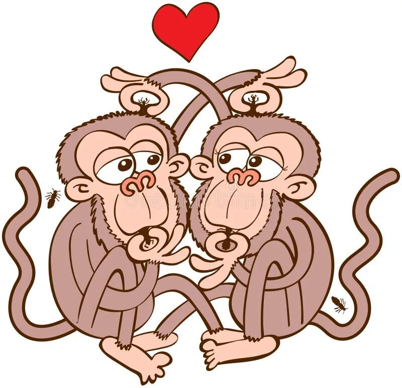 Мужчина обезьяна любовь. Две влюбленные обезьяны. Обезьянки любовь. Влюбленная обезьяна. Влюбленные обезьяны иллюстрация.