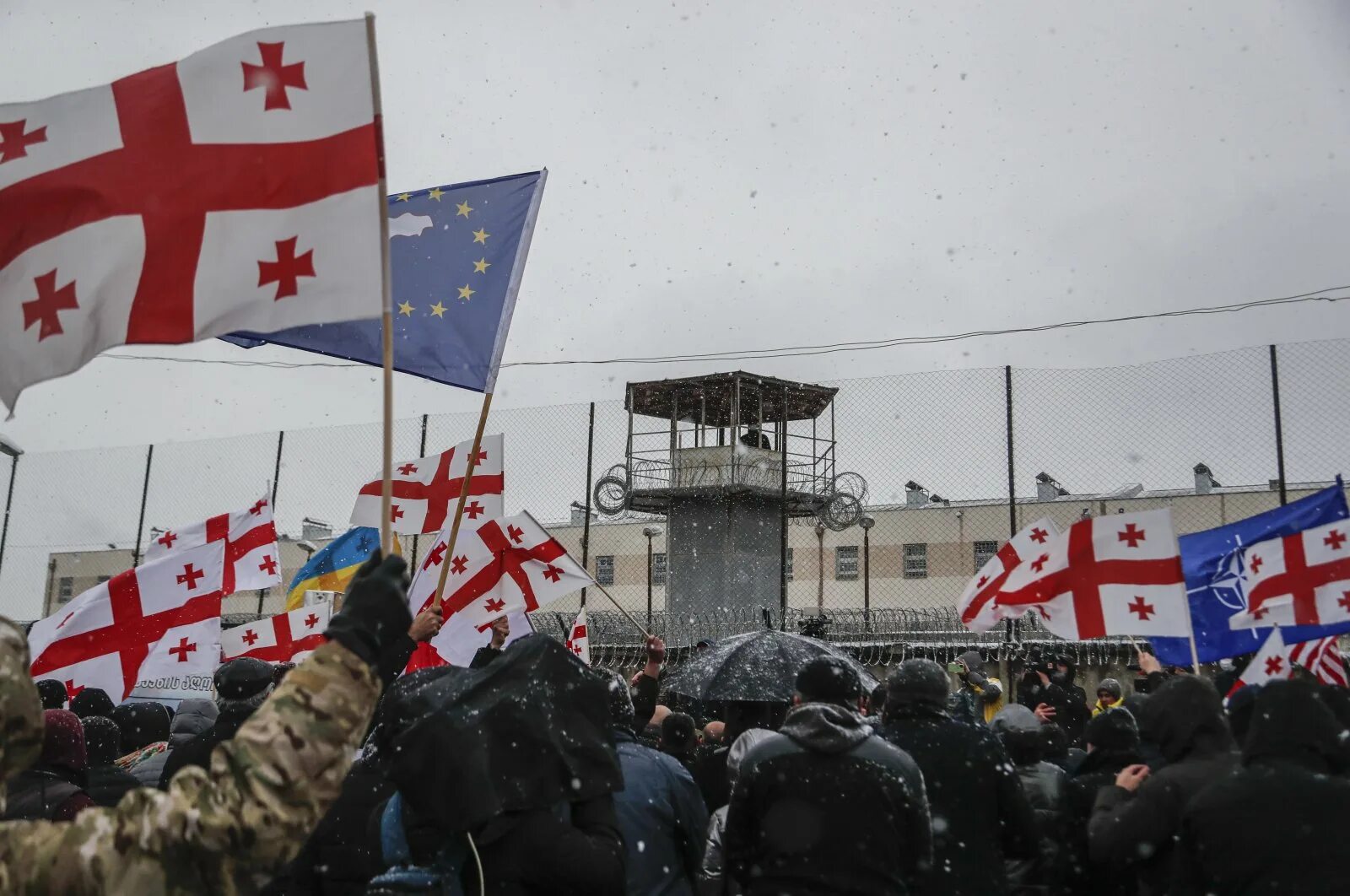 Хочу в грузию. Партия национальное движение Грузия. Грузия Евросоюз. Оппозиция Грузии. Грузия власть.