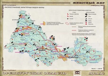 Природные ресурсы оренбургской