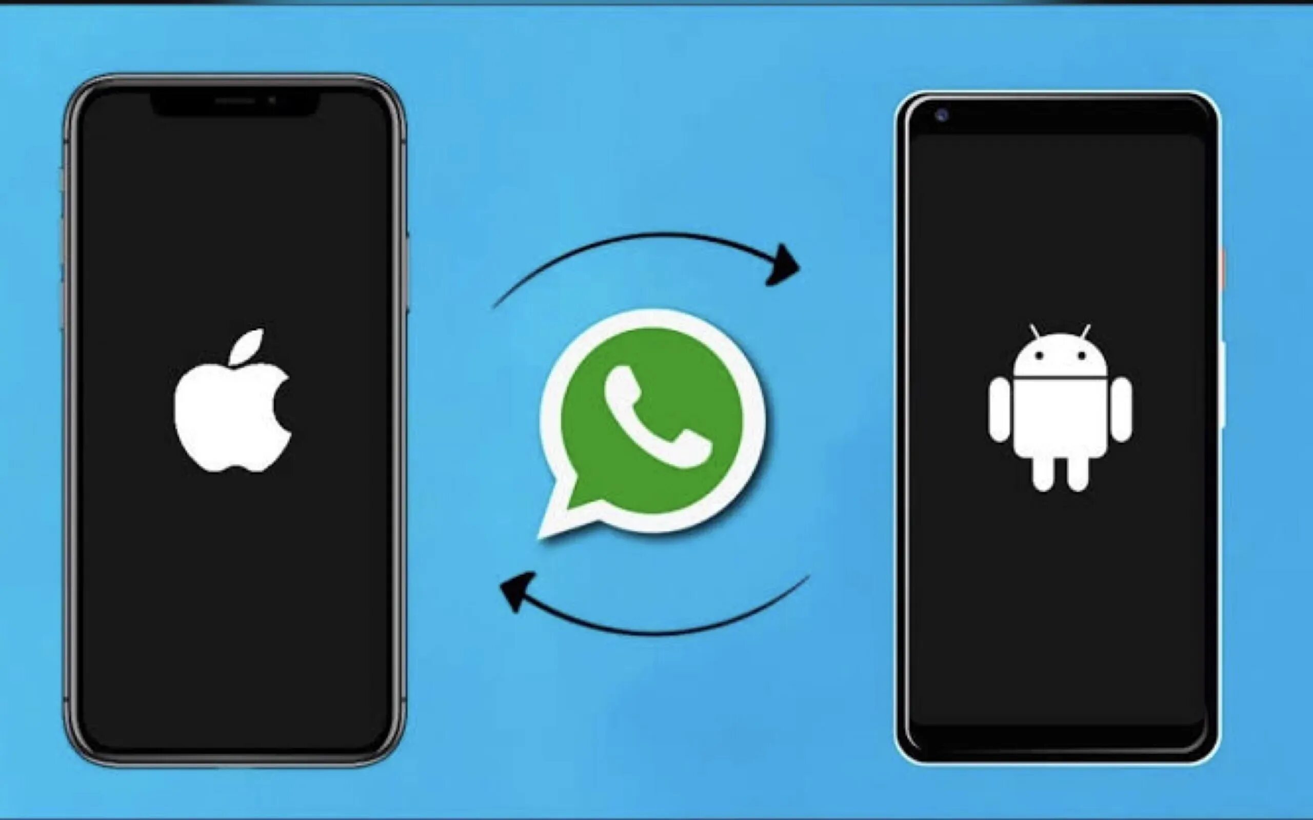 Перенос ватсап с андроида на айфон. Whatsapp перенос чата на андроид. Whatsapp переписка. Whatsapp android. Whatsapp перенос android ios.