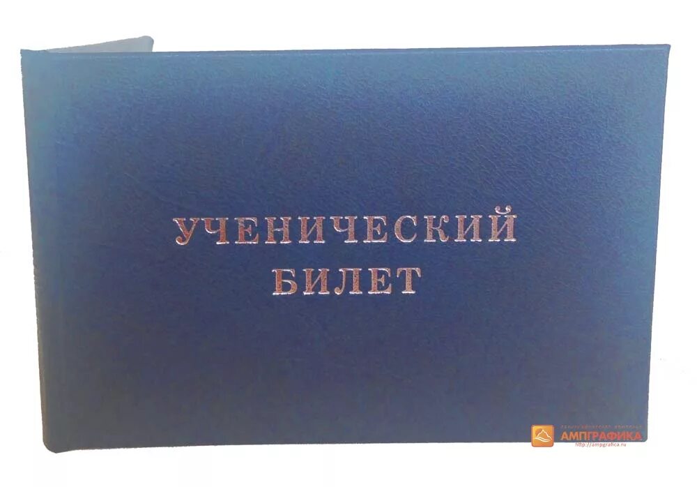 Ученический билет. Ученический билет и билет учащегося. Ученический билет школьника. Корочка для ученического билета. Ученический проездной школьника