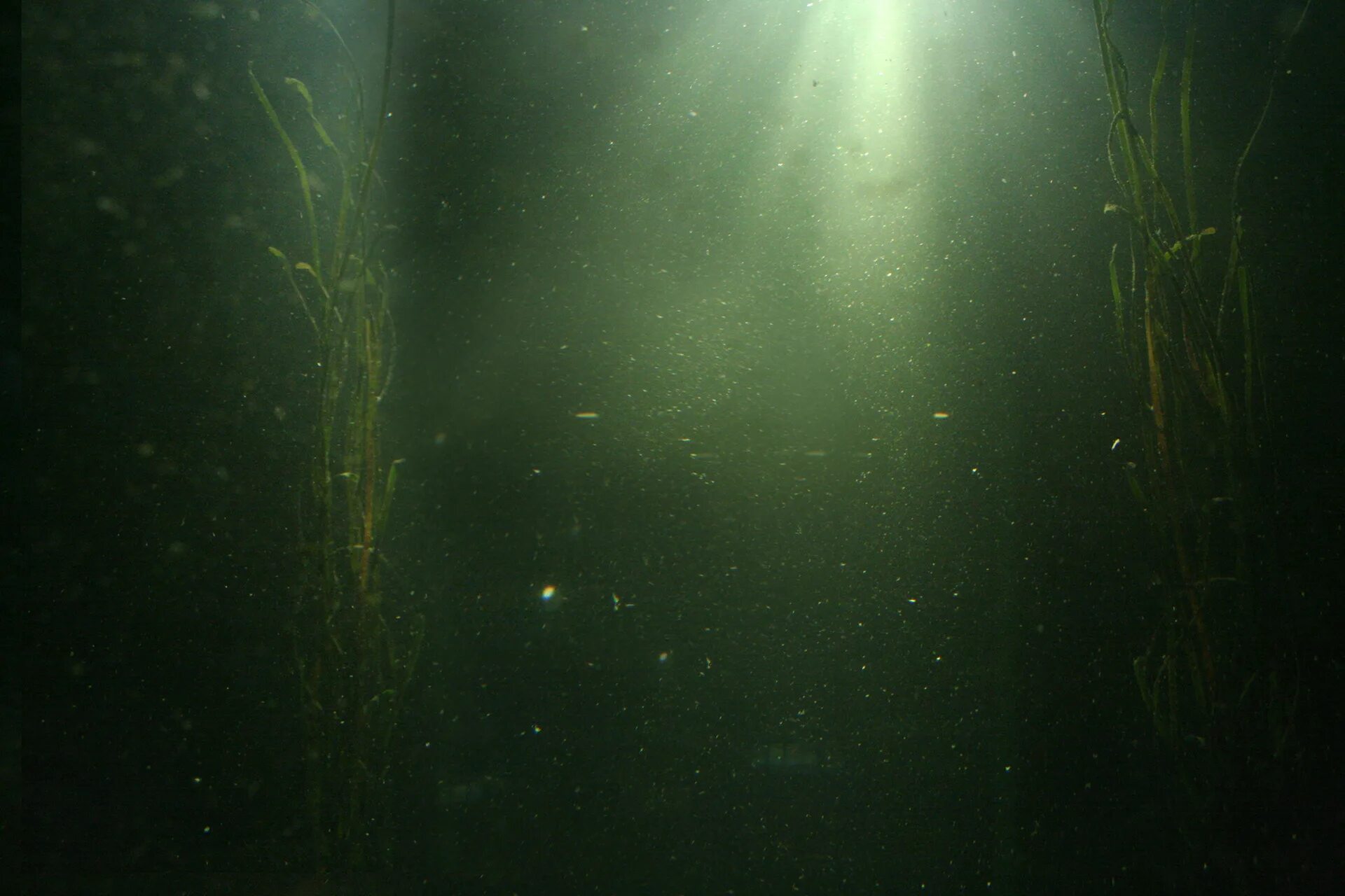 Мутная вода слушать. Блики под водой. Мутная вода. Эффект под водой. Текстура под водой.