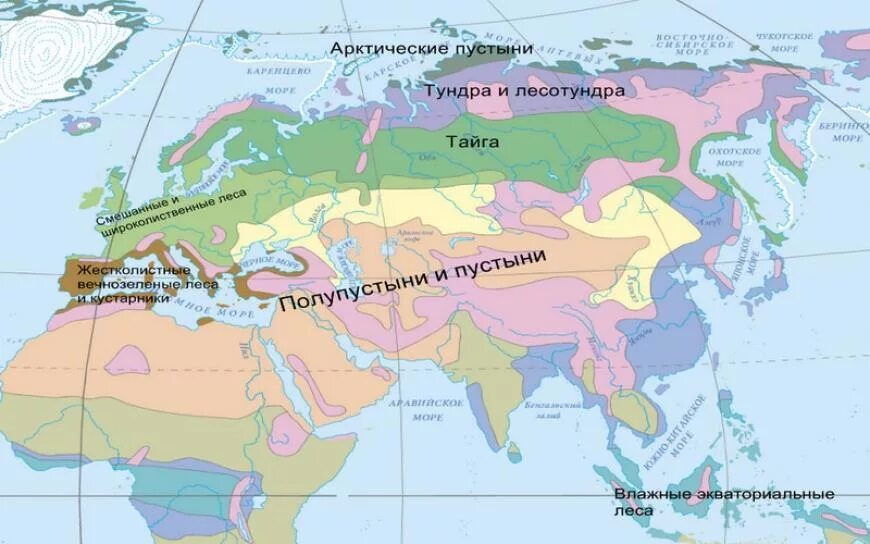 Географическое положение арктической тундры