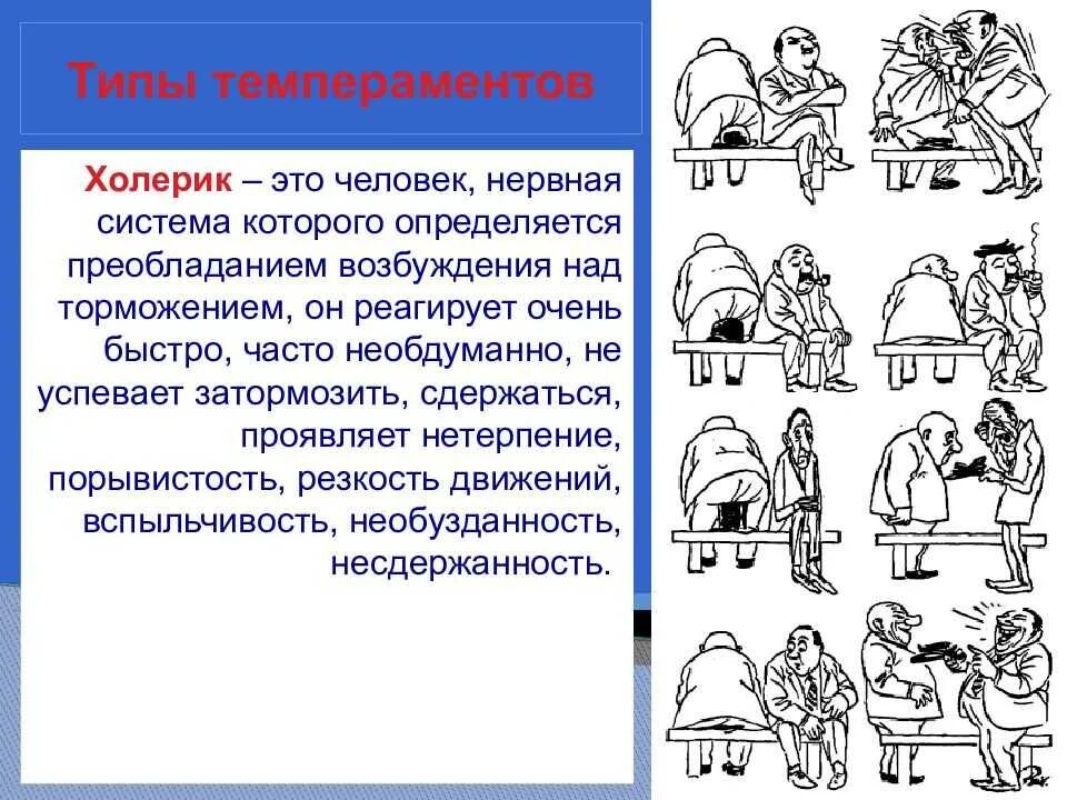 Темпераменты людей сангвиник