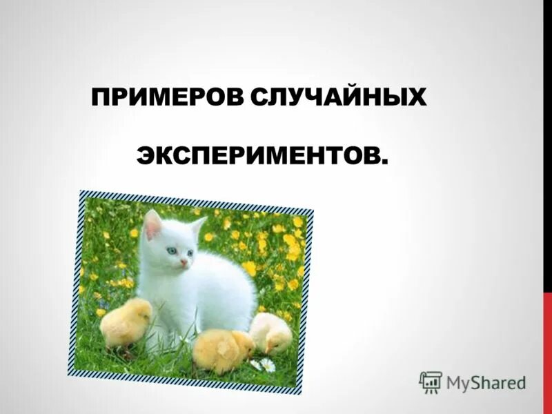 эксперименты результатами которых являются случайные события. случайные опыты и элементарные события. примеры случайных экспериментов. примеры случайных экспериментов. проведение эксперимента моделирование.