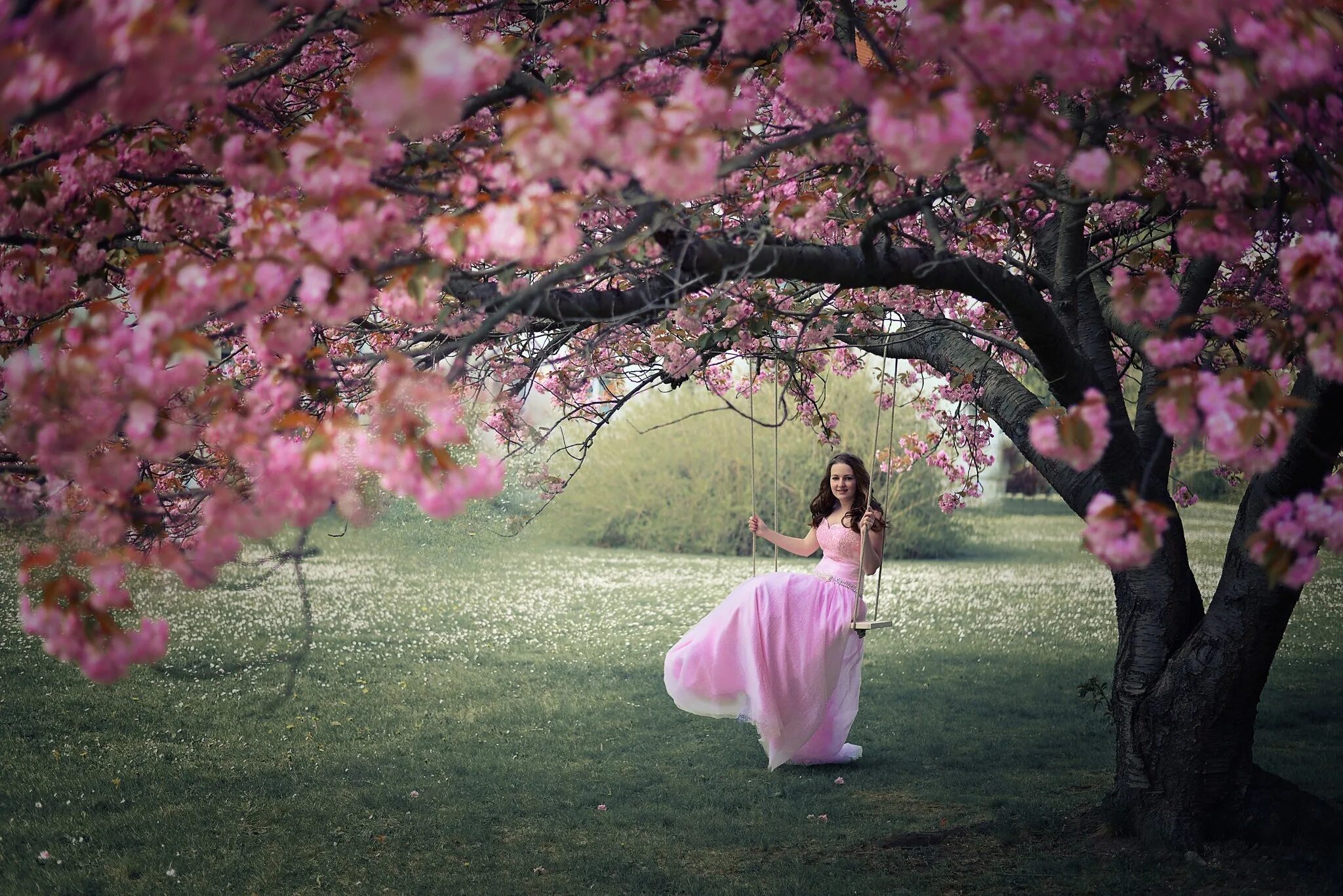 Big blossom. Черри блоссом модель. Красивое цветущее дерево. Весенние фотосессии на природе.