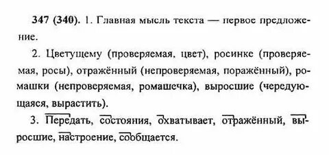 Русский язык упражнение 340 класс