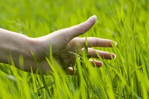 Go grass