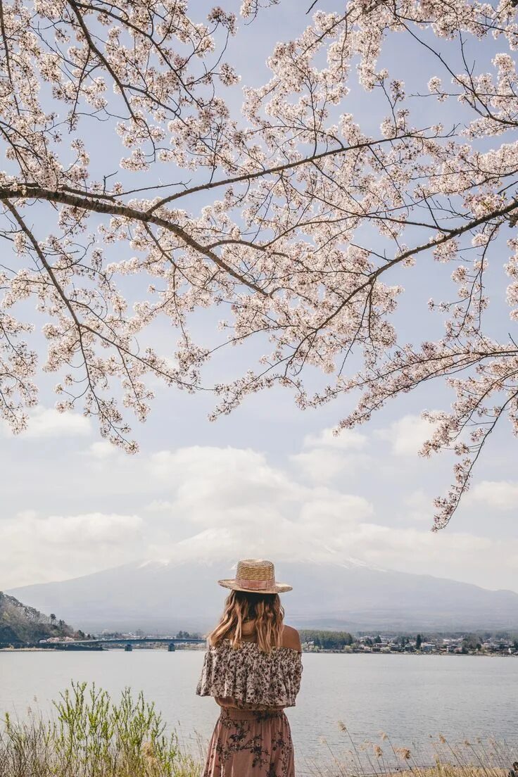 Spring travel. Удзи-кавагутико. japan traveling.