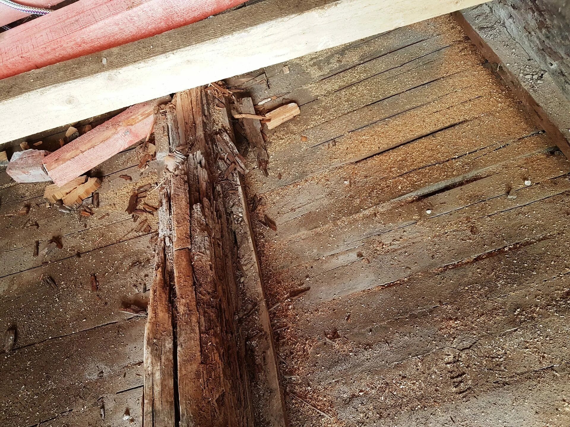 Гниет ли полы снизу. Сгнившие балки деревянные. Гнилое деревянное перекрытие. Деревянные перекрытия в старых домах. Скрип досок