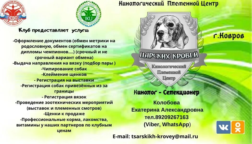 Клуб собаководства сайт. Скор клуб собаководства. сертификат кинологического клуба. клубы скор. свидетельство кинологического клуба.