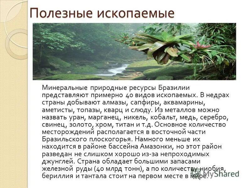 Природные условия и ресурсы бразилии. Природные условия и ресурсы бразилии