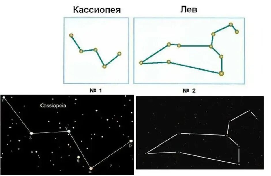 Созвездие Лев схема по точкам. Созвездие Кассиопея схема. Созвездие Льва и Кассиопея. Схема Кассиопея 2 класс. Созвездие льва нарисовать по точкам