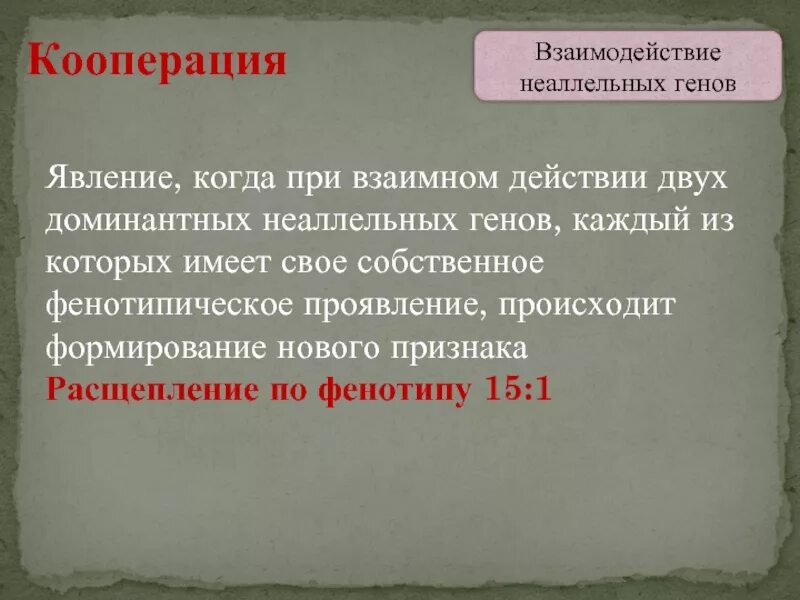 Проявить случаться. Неаллельное взаимодействие генов расщепление.