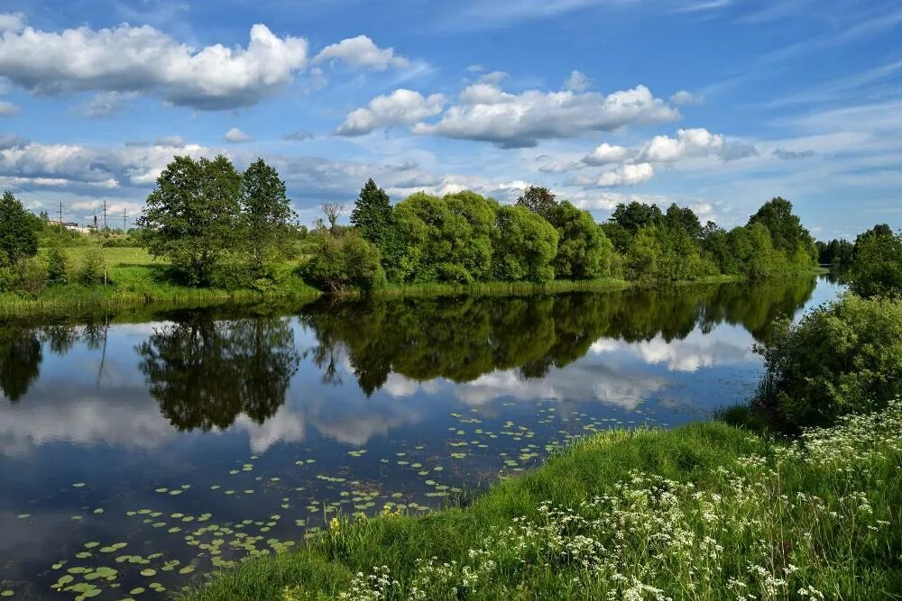 любовь к родному краю. родные края 7. рисунок на тему родина. родные края 7. солигаличские озера.