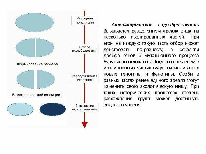 Расширение ареала способ видообразования. Разделение ареала на ФРАГМЕНТЫ. Разделение единого процесса. Разделение по способу питания расширение ареала