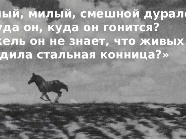 Милый милый смешной дуралей ну куда. Милый милый смешной дуралей Есенин. Стихи Есенина о животных.