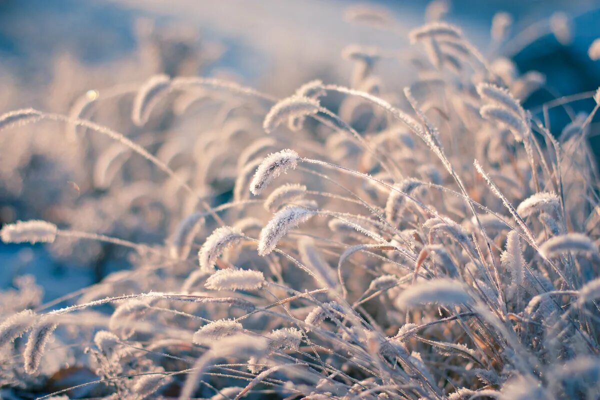 снег сверкает на солнце. федор тютчев — декабрьское утро.