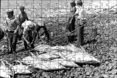 166 рыболовство